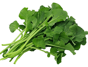 Bayam Hijau